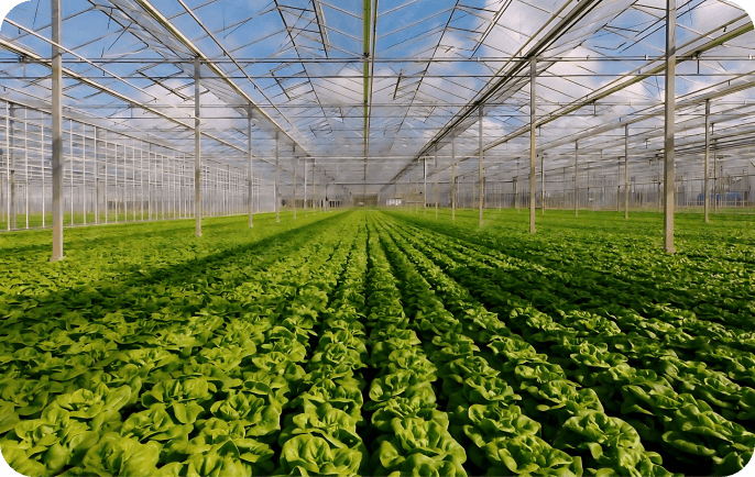 Smart Greenhouse