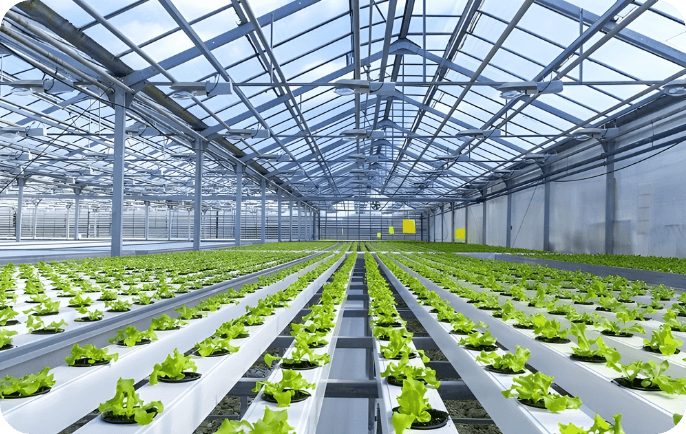 Smart Hydroponics